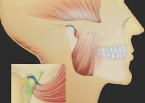 C'est Quoi L'ostéopathie ?